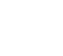 bring-back-the-salmon-logo bring-back-the-salmon