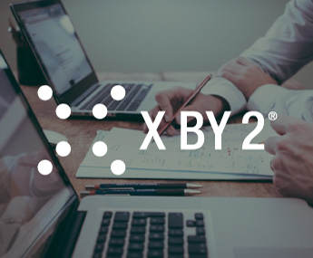X by 2